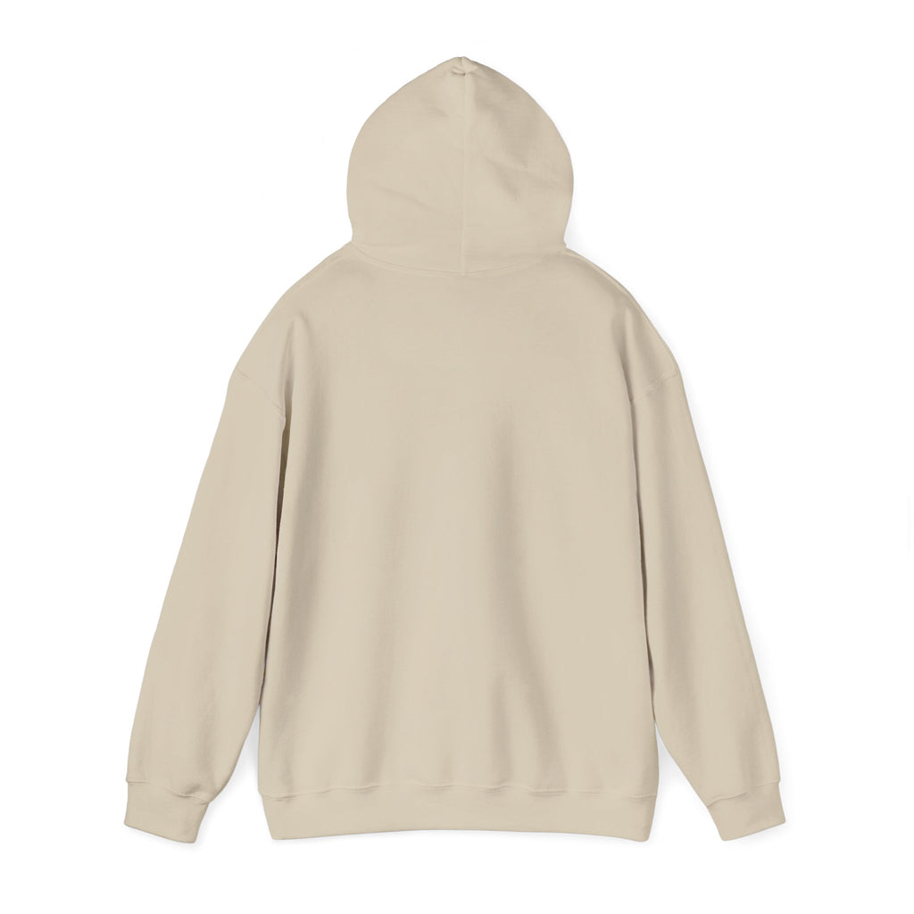 Go Girl Go Hoodie — Motivational Women's Empowerment Pullover